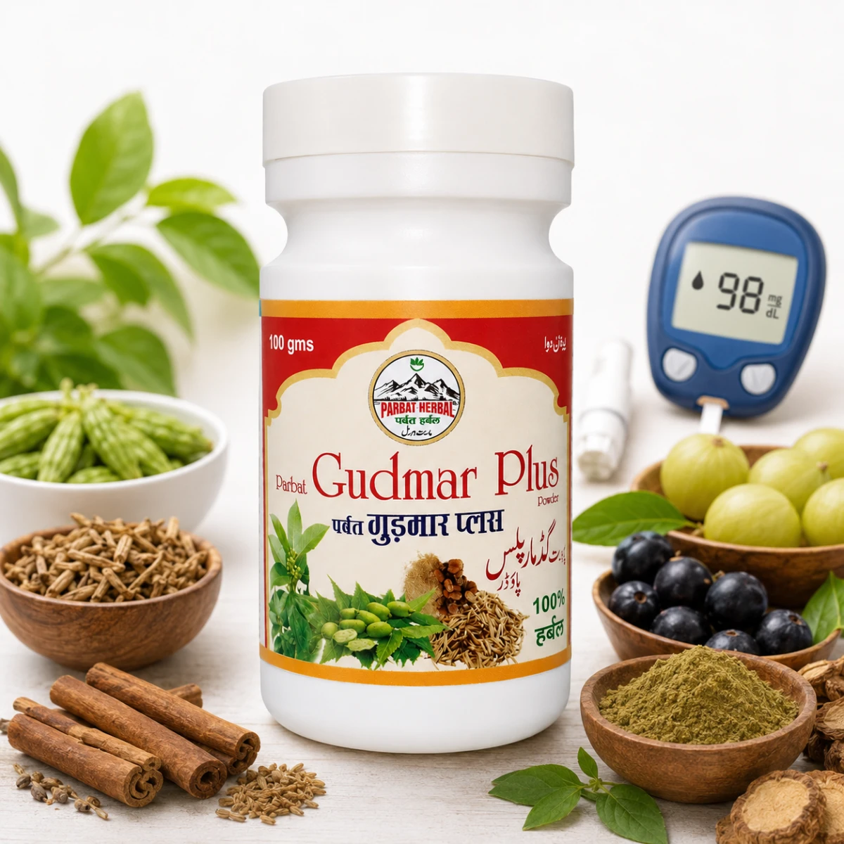 Gudmar Plus Powder – Sugar Support Herbal Powder | Gymnema Sylvestre for Healthy Blood Sugar